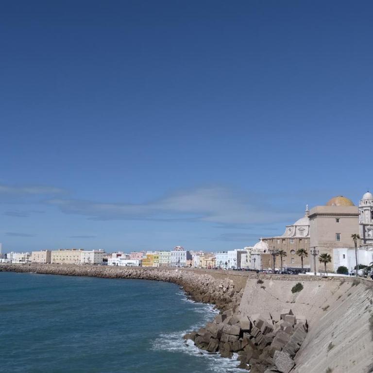 Piso en la Caleta - Apartamento de 3 dormitorios - 15