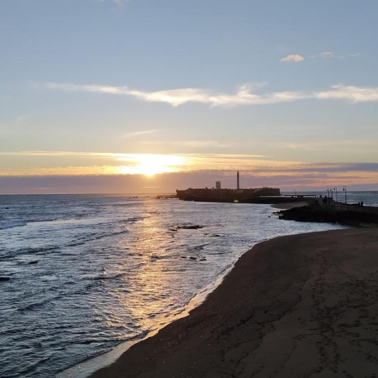 Piso en la Caleta - Apartamento de 3 dormitorios - 16