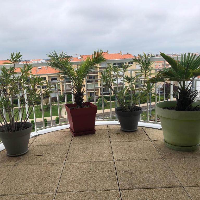 Studio terrasse - Apartamento de 1 dormitorio - 17
