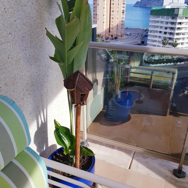 Esmeralda Suites Calpe - Two-Bedroom Apartment - 45