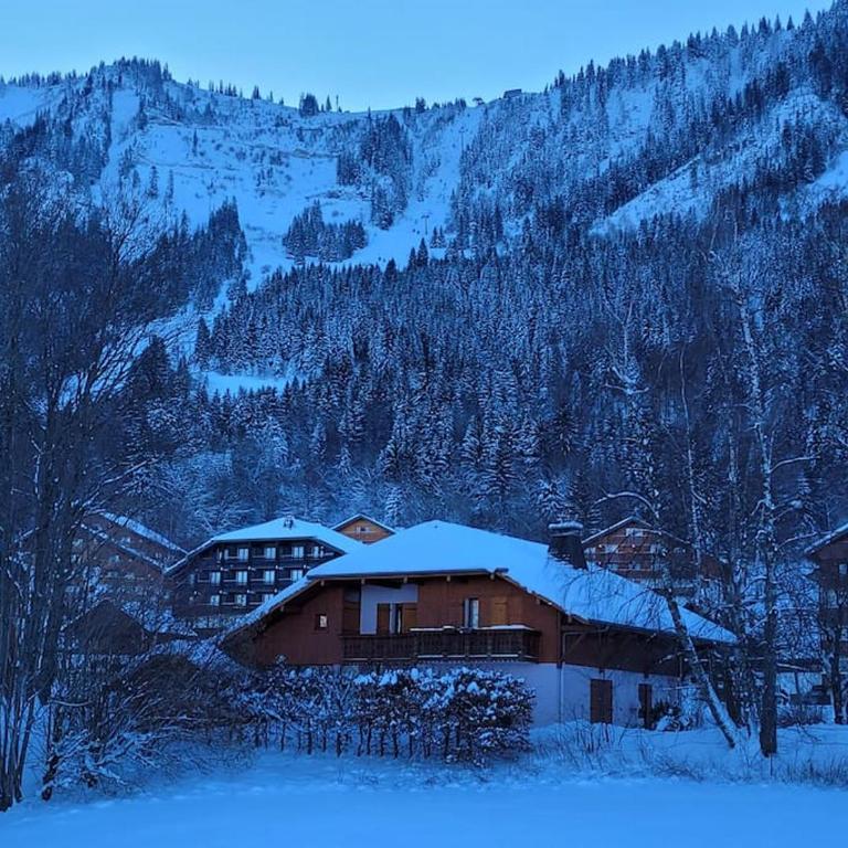 Bel appartement entre lac et montagne - Appartement 2 Chambres - 16