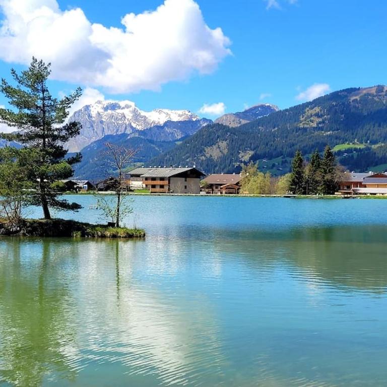 Bel appartement entre lac et montagne - Appartement 2 Chambres - 26