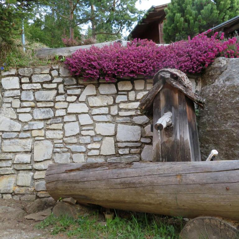 ALMNEST - LACHTAL - Ferienhaus - 30