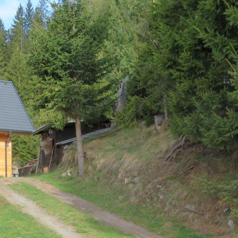 ALMNEST - LACHTAL - Ferienhaus - 32