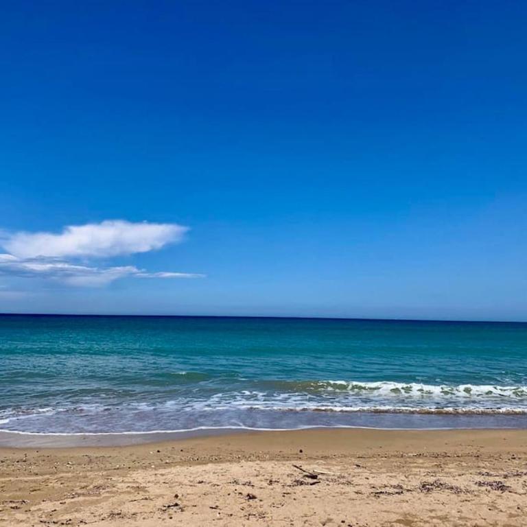 Las Dunas Playa Premium - Apartamento de 2 dormitorios - 5