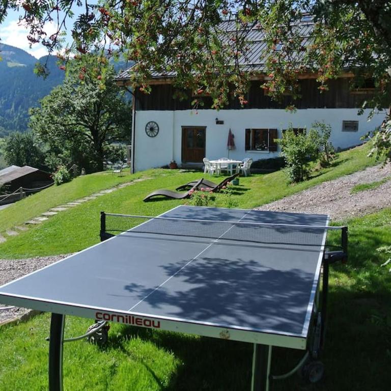 2 spacieux appartements dans une ferme rénovée face au MontBlanc - Appartement 3 Chambres avec Balcon - 17