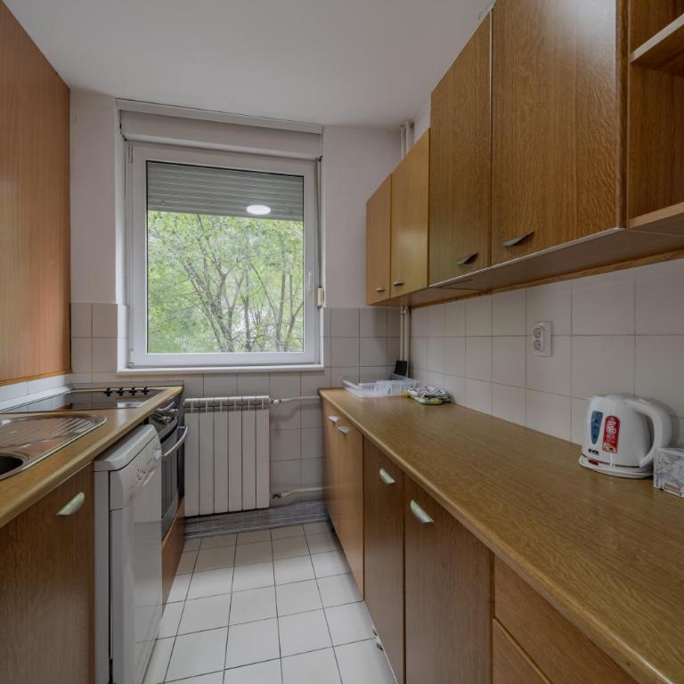 Arena Belgrade - Apartman sa 3 Spavaće Sobe - 38