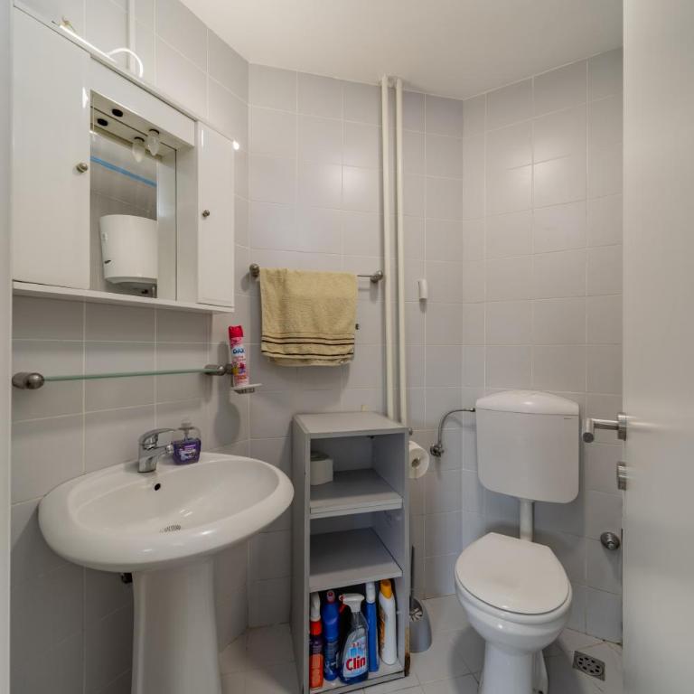 Arena Belgrade - Apartman sa 3 Spavaće Sobe - 45
