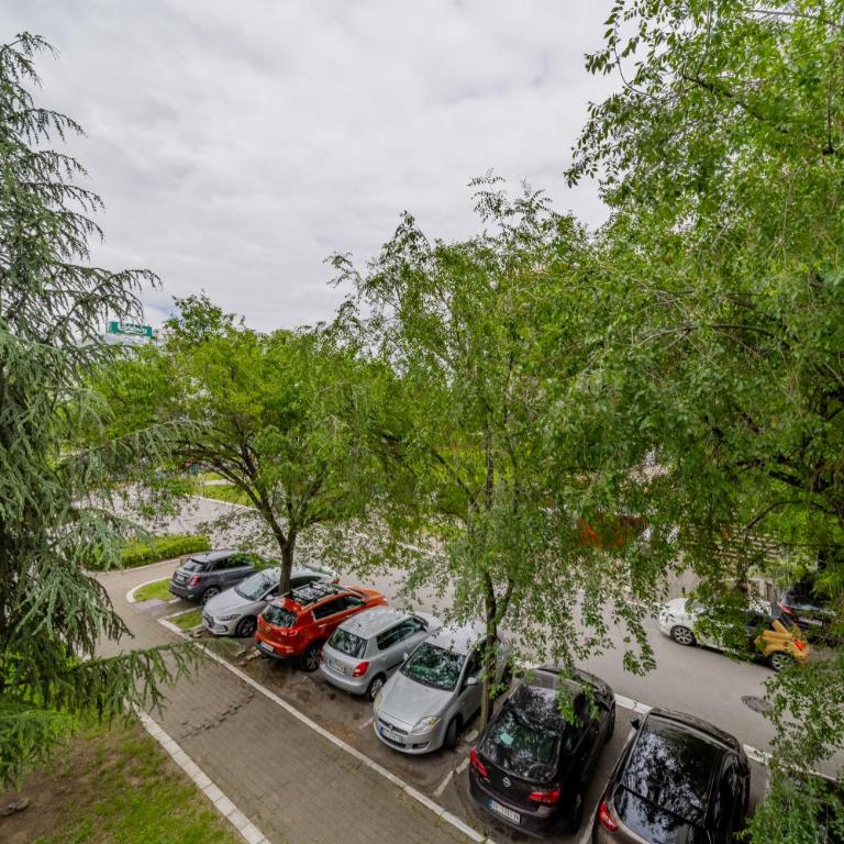 Arena Belgrade - Apartman sa 3 Spavaće Sobe - 57