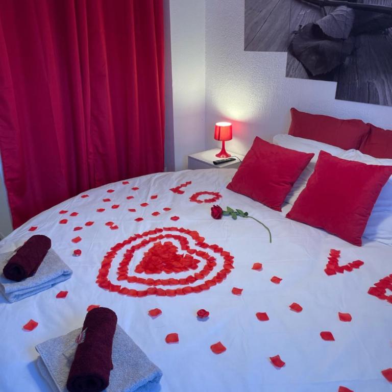Joli T2, jacuzzi, lit rond, jardin, parking privé, métro - One-Bedroom Apartment - 10