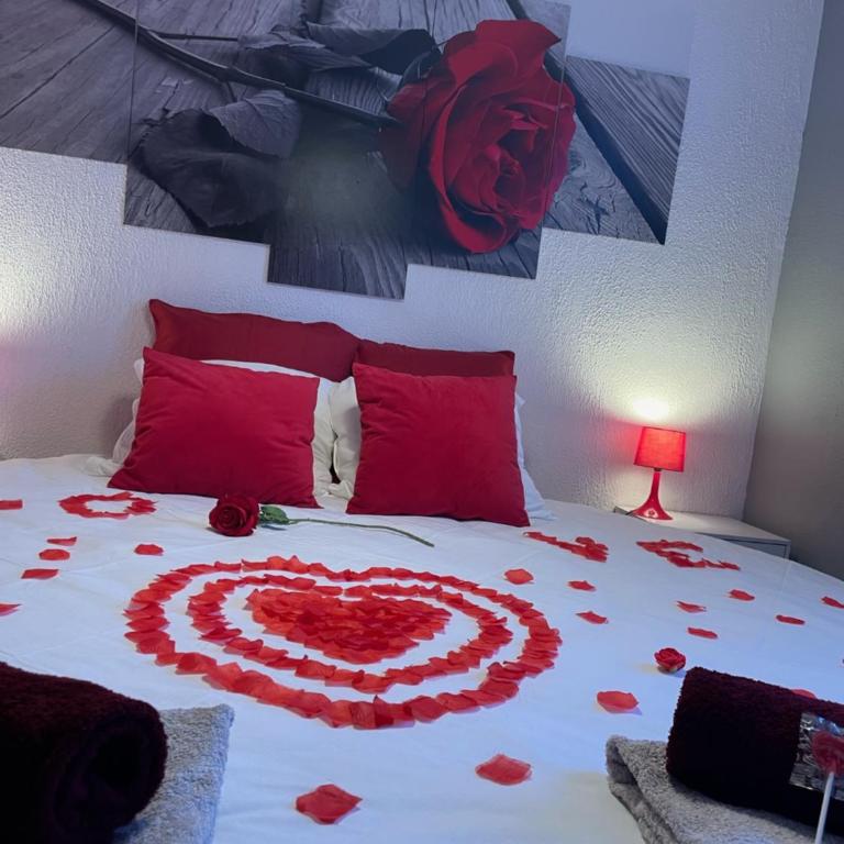 Joli T2, jacuzzi, lit rond, jardin, parking privé, métro - One-Bedroom Apartment - 9