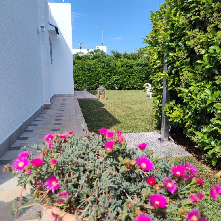 Endless Summer - Casa con 1 Camera da Letto - 1