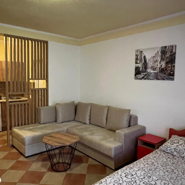 Apartmani PERICIC SUTOMORE NEW HOUSE - Family Studio - 1