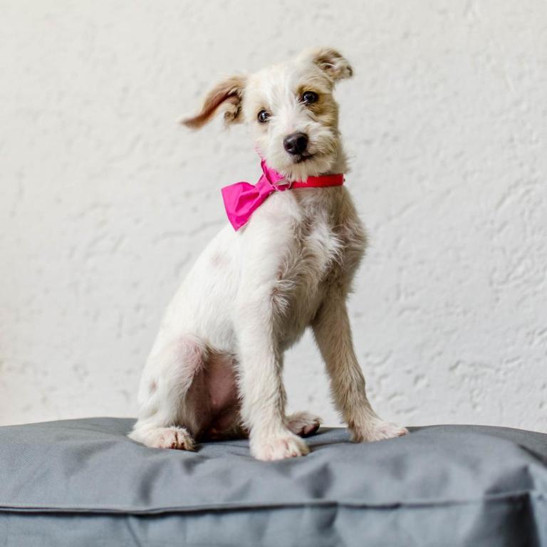 La Reina Hotel - Habitación Triple con baño - 4