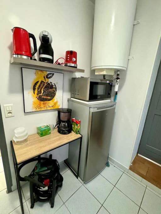 Le cactus, proche de la gare - Apartamento de 1 dormitorio - 12