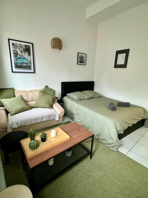 Le cactus, proche de la gare - Apartamento de 1 dormitorio - 4