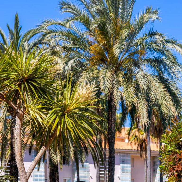 Golden Gardens, ground floor apartment with large terrace, smart TV, fibre internet, parking - Apartamento de 2 dormitorios - 36