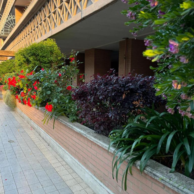Flaminia home - Appartement 1 Chambre - 37