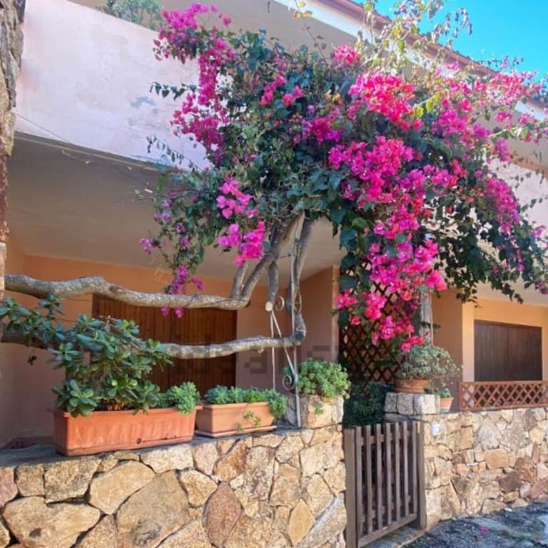 L'accogliente Casa Ginepro - Two-Bedroom Apartment - 18