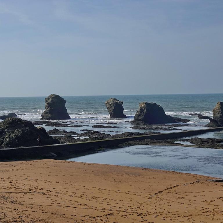 Douce escapade avec jardin à 800m de la plage - Casa Vacanze - 29