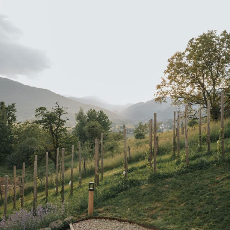Am Wildbachberg - Luxus Ferienhäuser mit Infinitypool, Privatsauna und Weinkeller - Deluxe Villa - 46