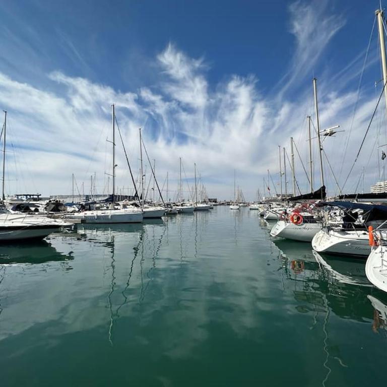 Cozy house - Loft in santa Pola - Estudio - 34