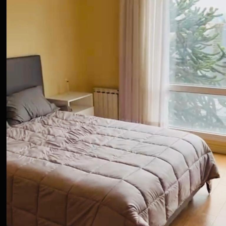 303 Bariloche - Apartamento de 1 dormitorio - 6