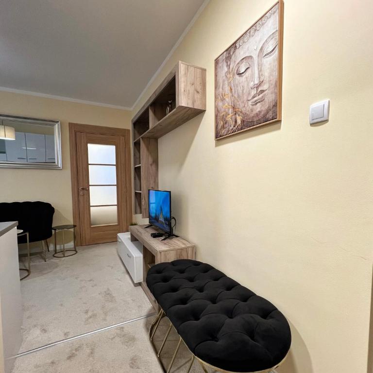 M&M Apartment Stefan Nemanja - Apartman sa 1 Spavaćom Sobom - 17