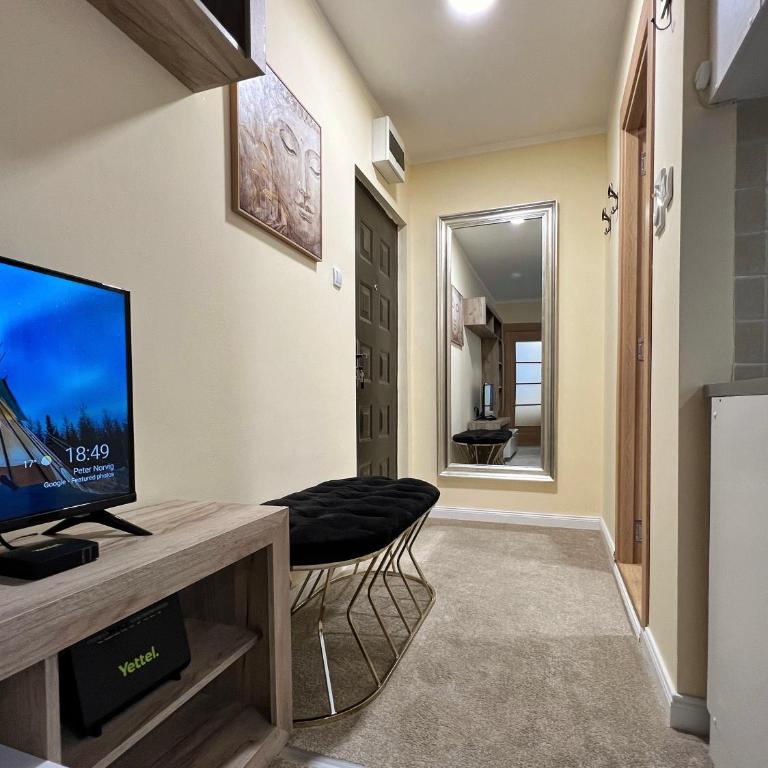 M&M Apartment Stefan Nemanja - Apartman sa 1 Spavaćom Sobom - 16