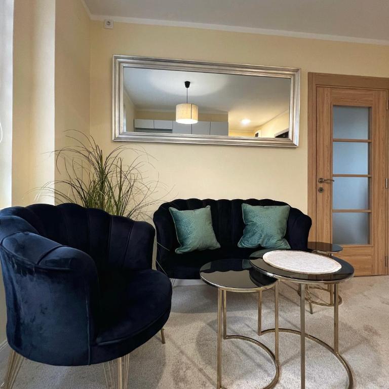 M&M Apartment Stefan Nemanja - Apartman sa 1 Spavaćom Sobom - 12