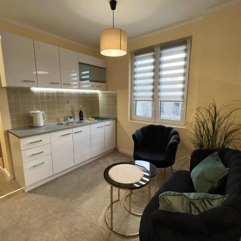 M&M Apartment Stefan Nemanja - Apartman sa 1 Spavaćom Sobom - 10