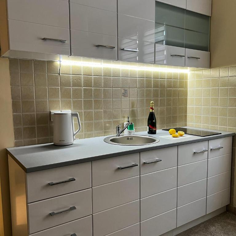 M&M Apartment Stefan Nemanja - Apartman sa 1 Spavaćom Sobom - 14