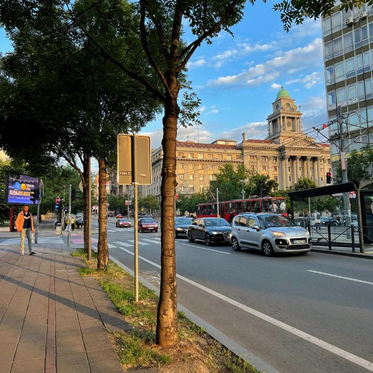 M&M Apartment Stefan Nemanja - Apartman sa 1 Spavaćom Sobom - 20