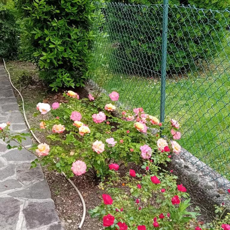 villetta le palme - Two-Bedroom House - 11