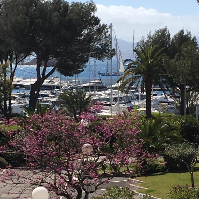 Appartement -piscine- proche bord de mer et centre - One-Bedroom Apartment - 10