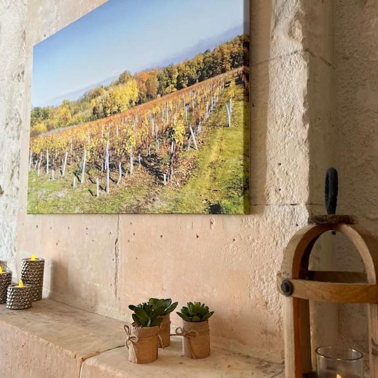 La Tour du Puits, Beauval & Châteaux de la Loire - Apartment - 3