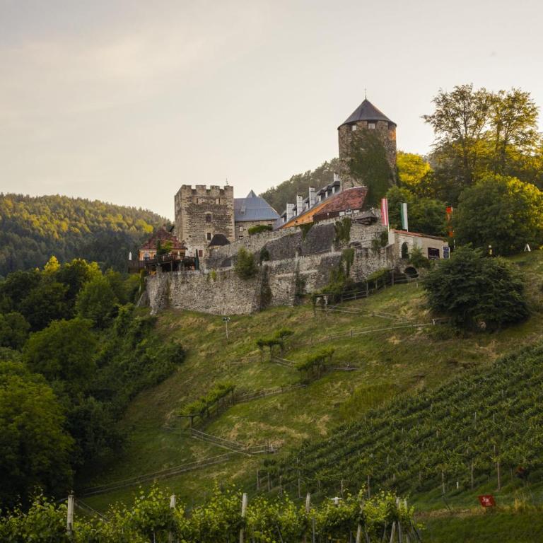 Am Wildbachberg - Luxus Ferienhäuser mit Infinitypool, Privatsauna und Weinkeller - Deluxe Villa - 48