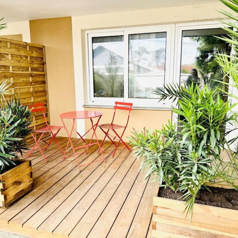 Studio Mimosa - 500m de la plage - Apartment mit 1 Schlafzimmer - 20