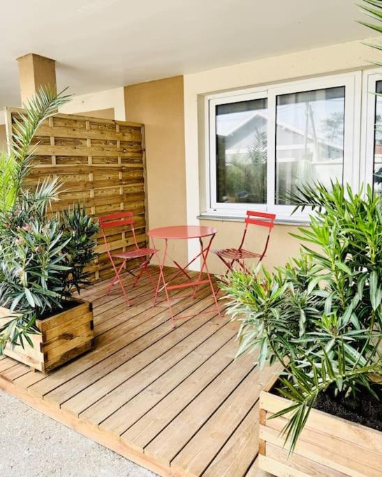 Studio Mimosa - 500m de la plage - Apartment mit 1 Schlafzimmer - 17