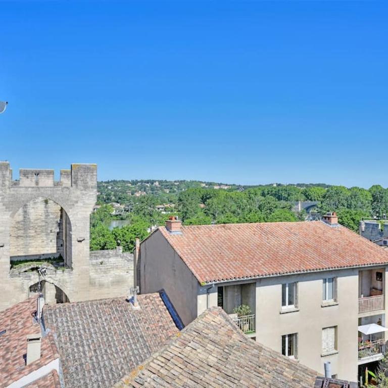 Une Nuit d'été - Vue Palais des Papes - Clim - Wi-Fi - Double terrasse - Parking gratuit - Apartment mit 2 Schlafzimmern - 22