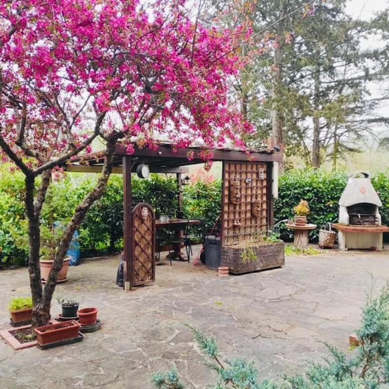 Casa del Riccio - Casa con 3 Camere da Letto - 20
