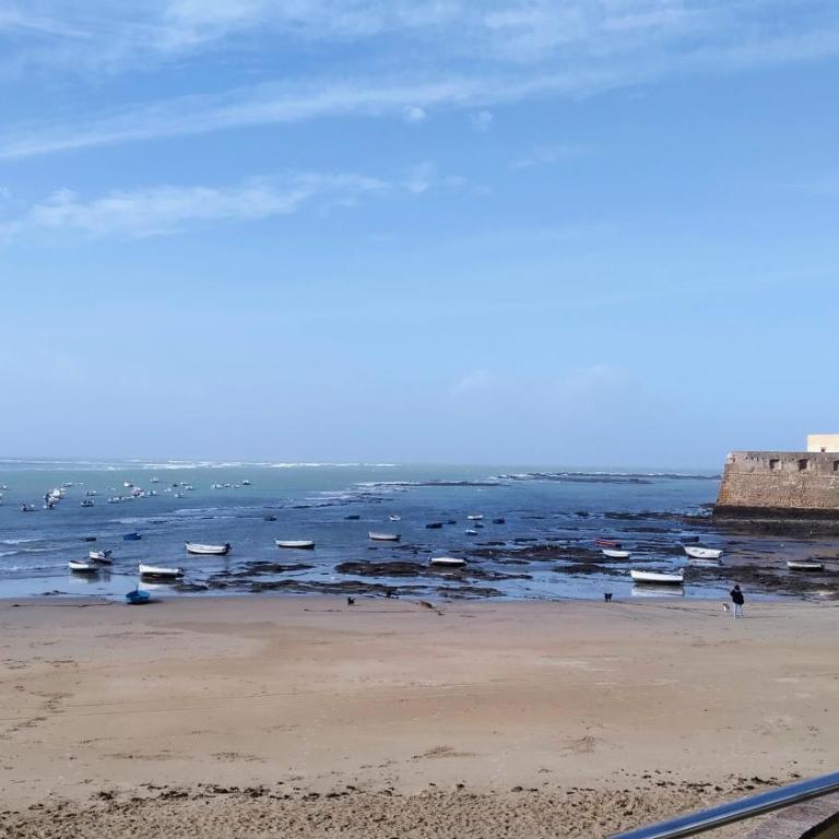 Piso en la Caleta - Apartamento de 3 dormitorios - 17