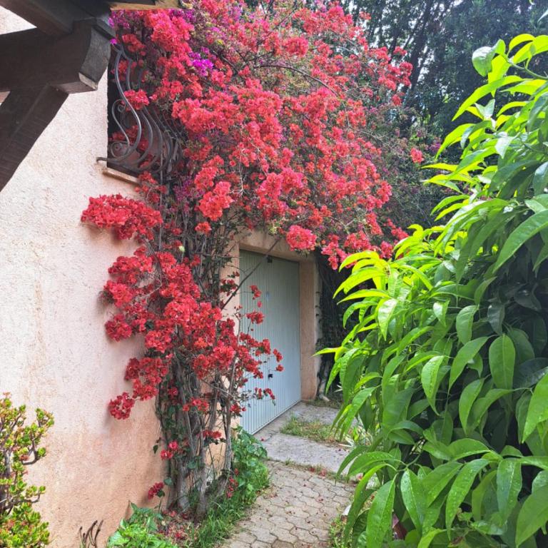 Villa Provençale à Mougins - Villa 3 Chambres - 16