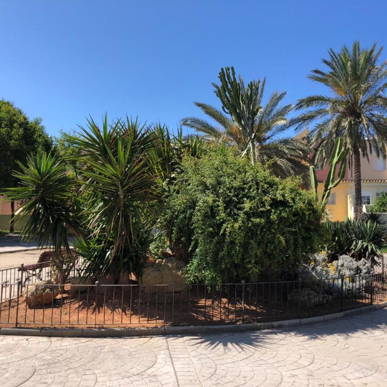 Estudio Playa Almeria - Appartamento con 1 Camera da Letto - 50
