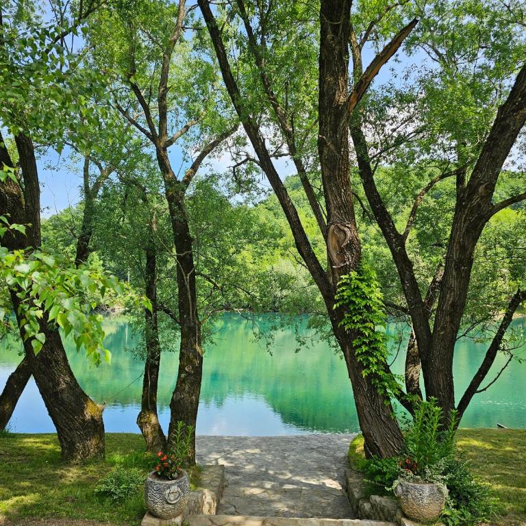 Holiday House Bella - Three-Bedroom House - 3