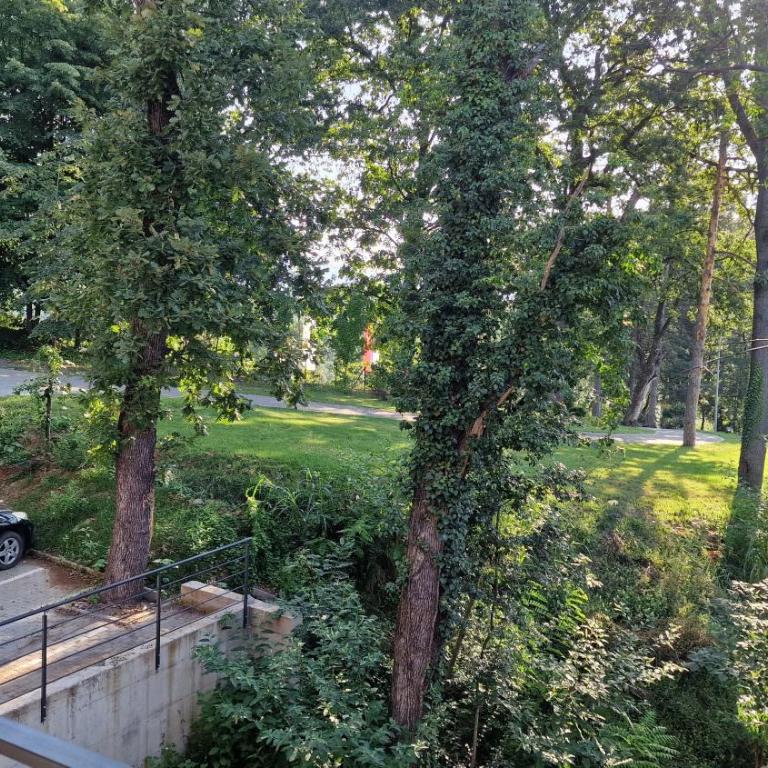 PREMIUM APARTMAN ELENI ROOMS,oaza mira i tisine u centru Vrnjacke banje - Apartman sa 2 Spavaće Sobe - 45