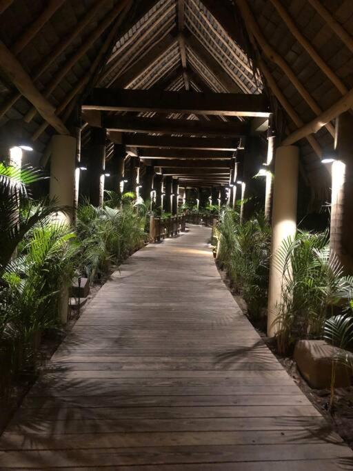 Stunning Seibal Condo & Vidanta - Apartamento - 58