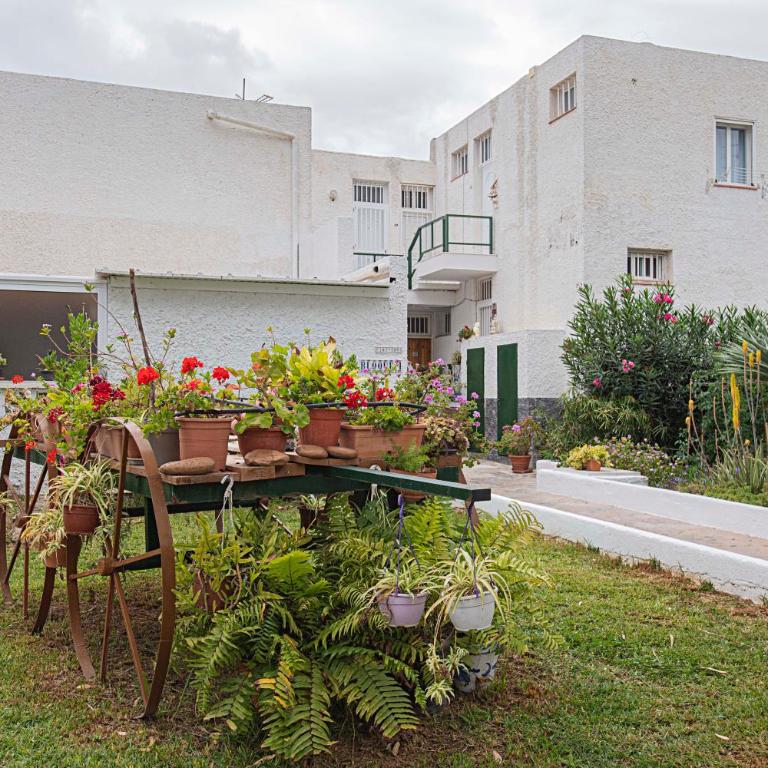 Eureka Tenerife - Apartamento de 1 dormitorio con jardín - 13