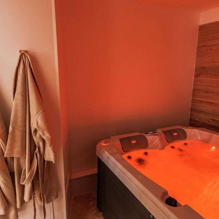 Bulles & Spa Hypercentre Orléans - Apartment mit 1 Schlafzimmer - 13