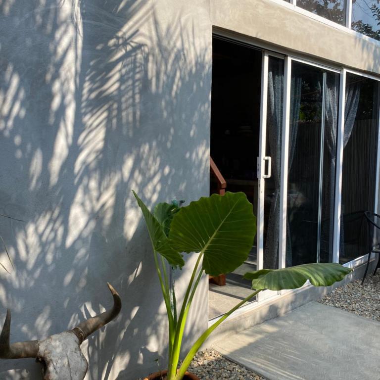 Casa Wil, La punta de Zicatela with wifi starlink - Apartamento de 1 dormitorio - 20